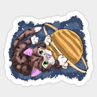 Cat in space Sticker